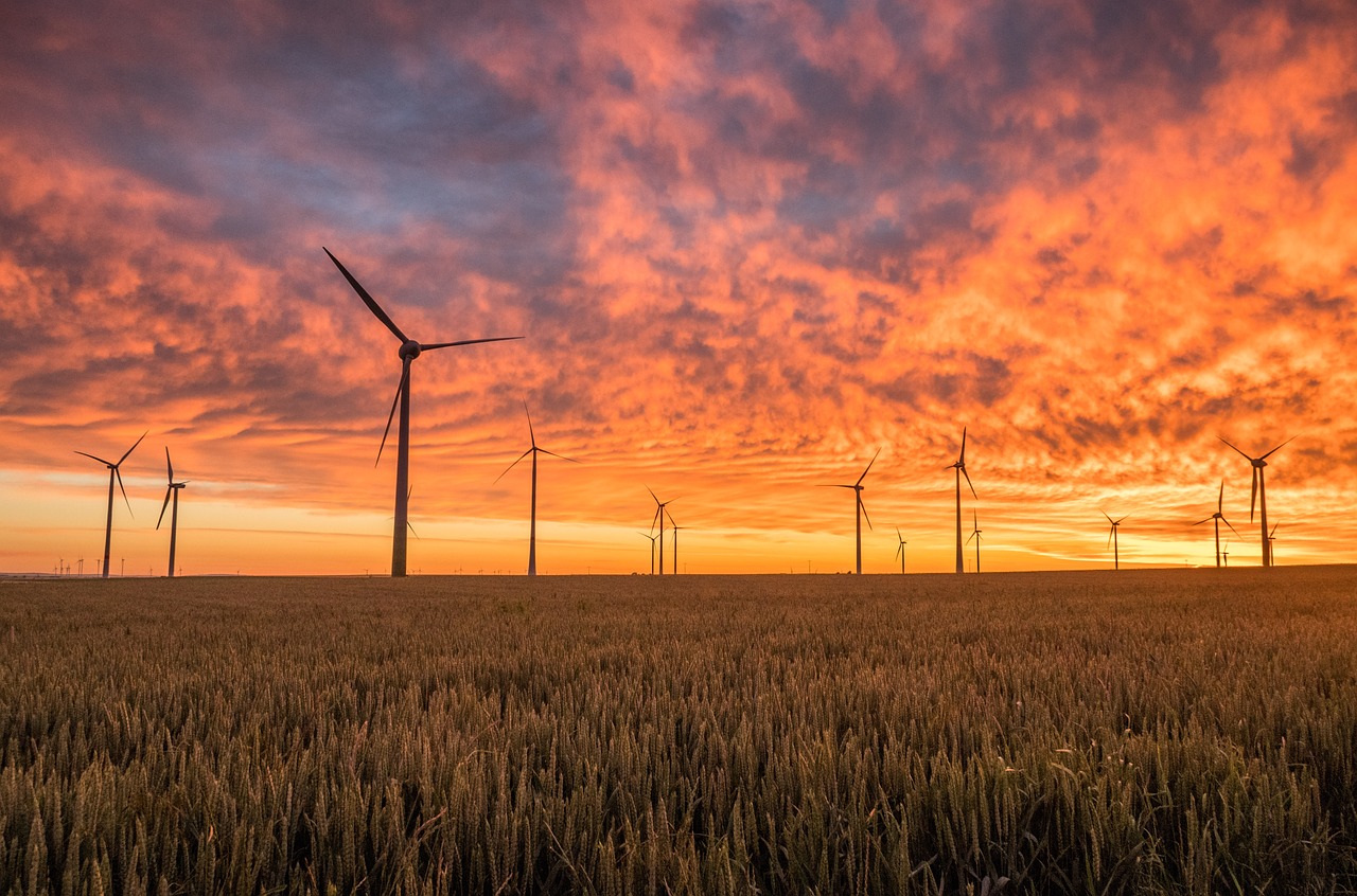 windmills, fields, nature, sunset, clouds, sky, cloudsscape, dusk, twilight, wind turbines, renewable energy, horizon, wind power, wind energy, alternative energy, green energy, field, sunrise